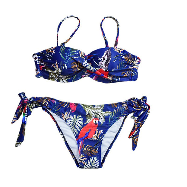 Classy 's  Tropical Vibe