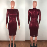 Sparkly Elegant Midi Bodycon Dress