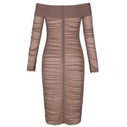 Sexy Sheer Ruched Dress