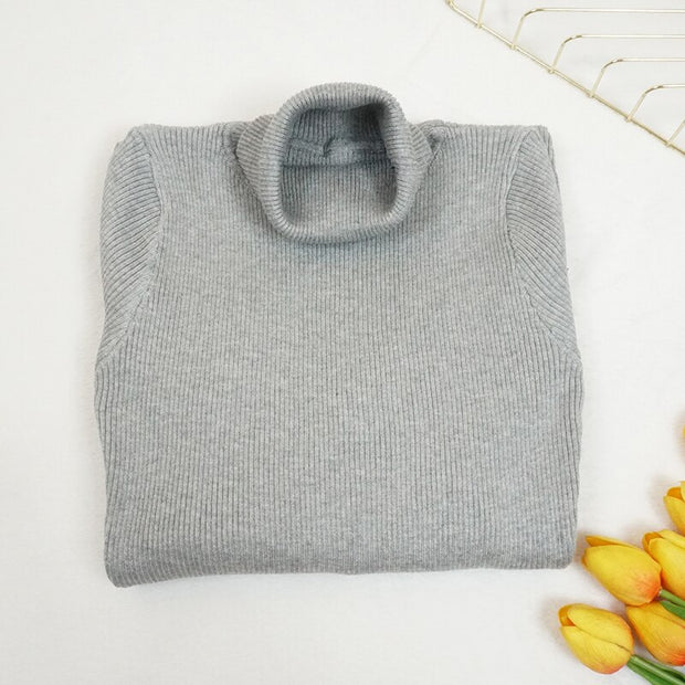 Turtleneck Sweater Dress