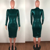 Sparkly Elegant Midi Bodycon Dress