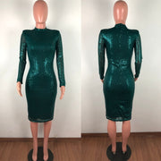 Sparkly Elegant Midi Bodycon Dress
