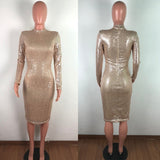Sparkly Elegant Midi Bodycon Dress