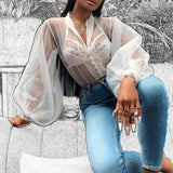 Perspective Bubble Sleeves Elegant Mesh Shirt