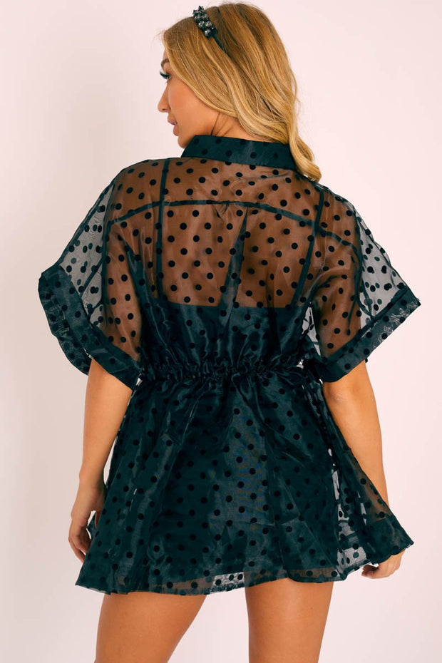 Tulle Lace Dot Print Dress