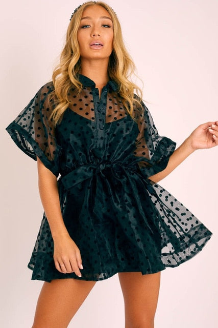 Tulle Lace Dot Print Dress